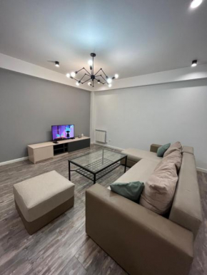 Modern 2 bedroom apartment on Pushkin street